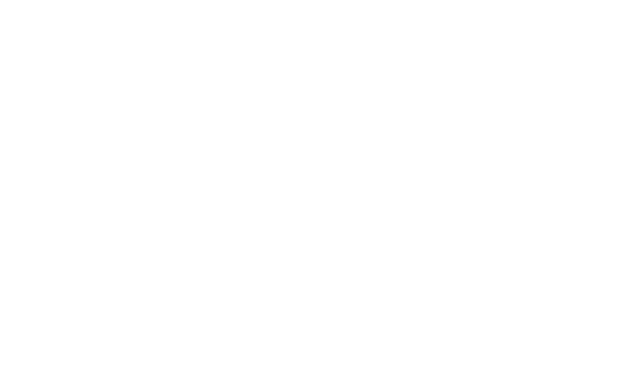 Amon Sul Consulting